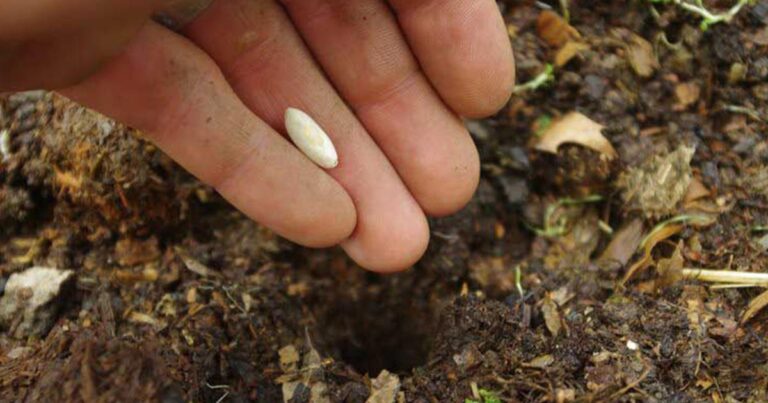 Ένας διευθυντής έκανε το πιο παράξενο τεστ στους υπαλλήλους του για να δει ποιος θα πάρει την θέση του