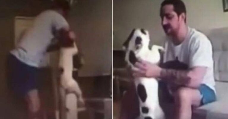 Τον έπιασε να κακοποιεί τον σκύλο της και ακύρωσε το γάμο τους! (βίντεο)
