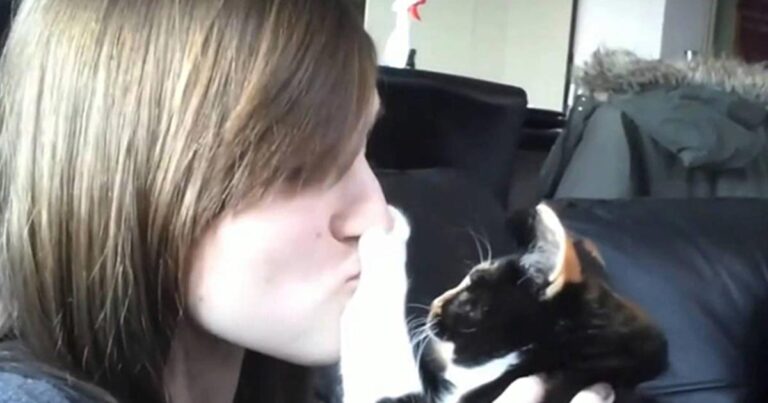 Γάτες και σκύλοι που σιχαίνονται τα φιλιά! (βίντεο)
