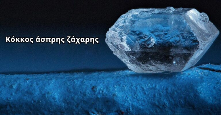 18 φωτογραφίες από πολύ κοντινές λήψεις καθημερινών πραγμάτων