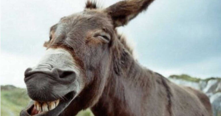 ΑΝΕΚΔΟΤΟ: Όταν ο Θεός έπλασε τον άνδρα!