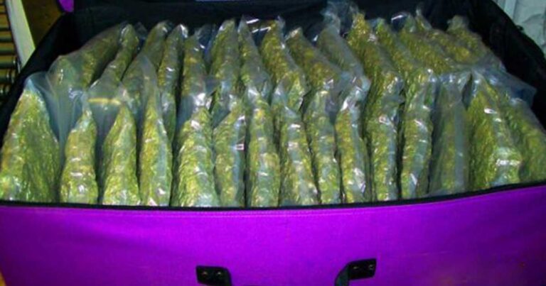 Τα 20 πιο απίθανα πράγματα που προσπάθησαν να περάσουν από τα αεροδρόμια!