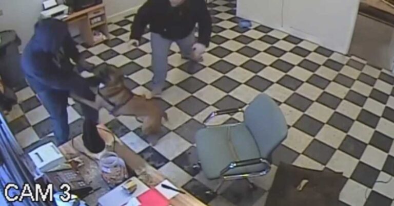 Κρυφή κάμερα καταγράφει πως ένα σκυλί έσωσε το αφεντικό του από ένοπλη ληστεία!