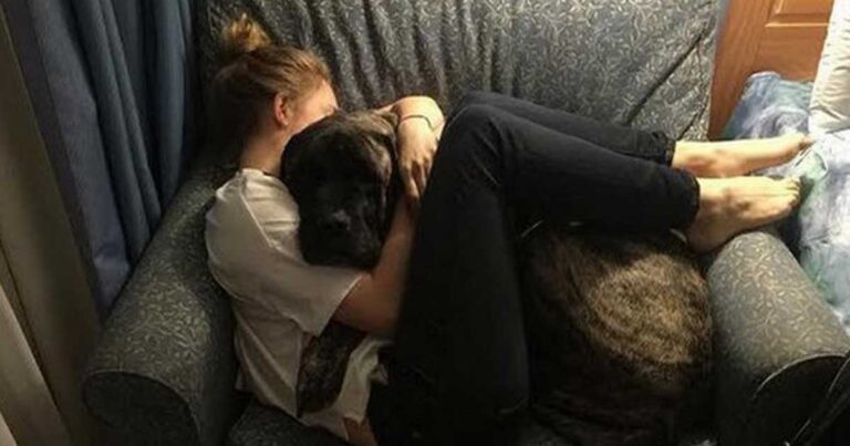 Όταν έμαθε ότι ο σκύλος της έχει καρκίνο, έκανε μαζί του κάτι πολύ συγκινητικό