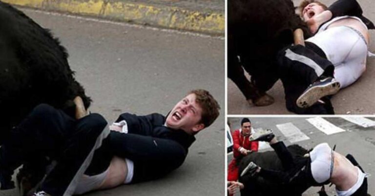 Συγκλονιστικές εικόνες: Ταύρος γδύνει 20χρονο και τον τρυπάει σε όλο του το κορμί!