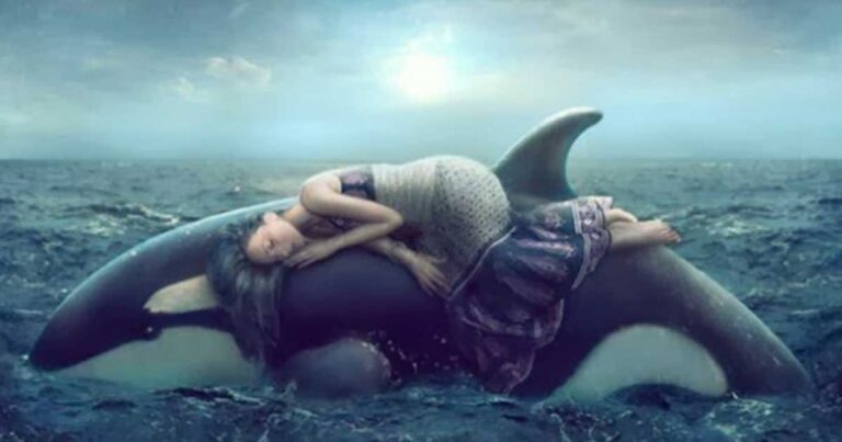 Αν δεις στον ύπνο σου…