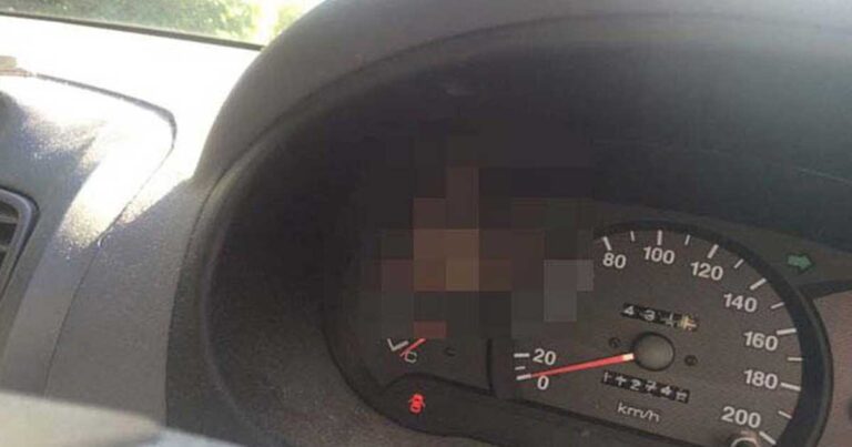 Σίγουρα κάτι που δεν θα ήθελες να δεις στο αυτοκίνητο σου…