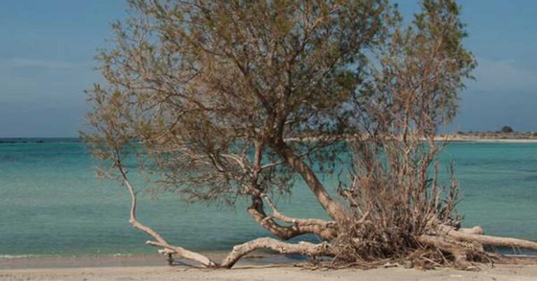 Ποια είναι η ελληνική παραλία που έκανε τους τουρίστες να παραληρούν; Μπήκε στην λίστα με τις 10 ομορφότερες πάνω στο πλανήτη!