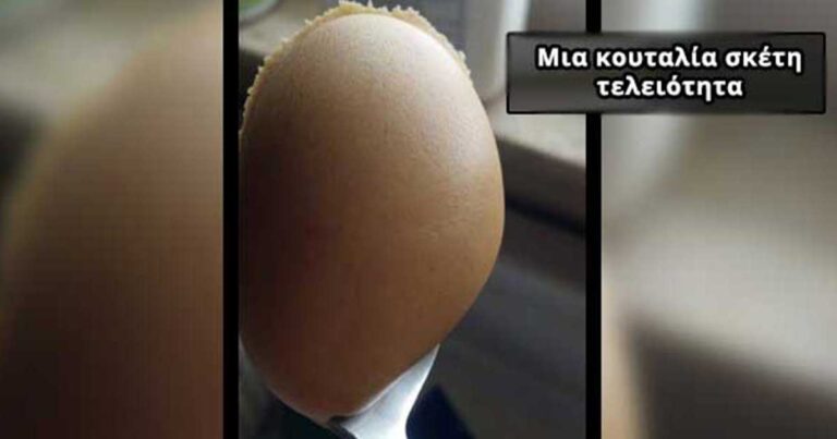 25 φωτογραφίες που προσφέρουν μια παράξενη ικανοποίηση τελειότητας!