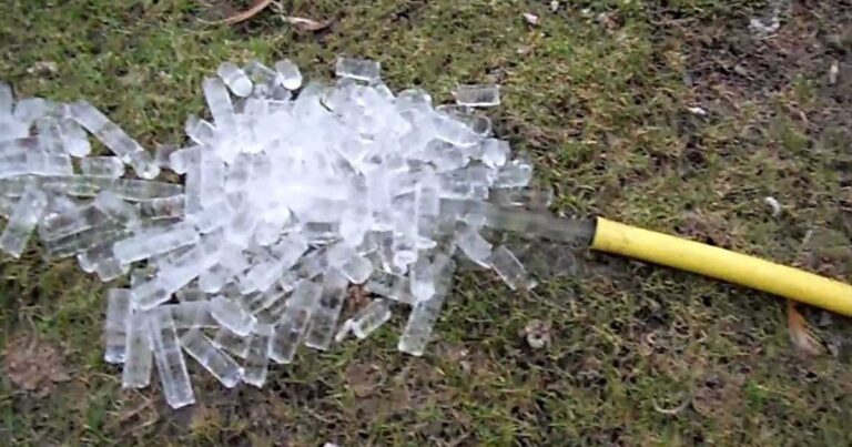 Ti γίνεται εάν ξεχάσεις το λάστιχο ποτίσματος ανοιχτό μια παγωμένη νύχτα; (βίντεο)