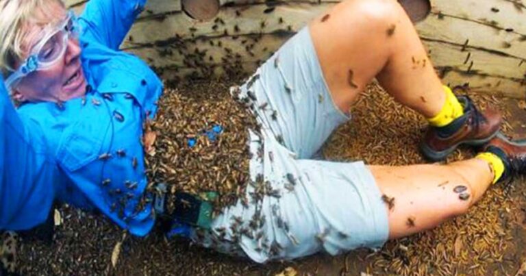 17 ακραίες καταστάσεις που κανένας δεν θα ήθελε να ζήσει