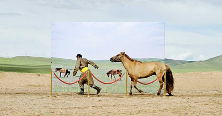 Μαγευτικές φωτογραφίες που ξεχώρισαν στο διαγωνισμό της Sony που θεωρείται ο κορυφαίος στον κόσμο!