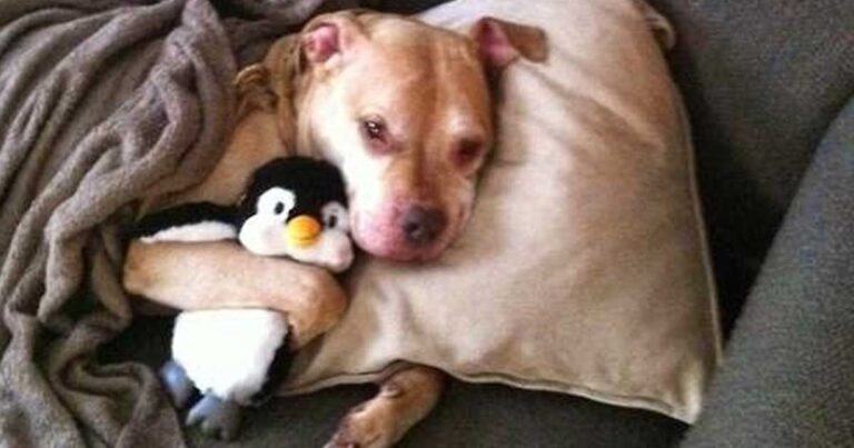 30 αξιολάτρευτες στιγμές σε φωτογραφίες που θα σας κάνουν να χαμογελάσετε!