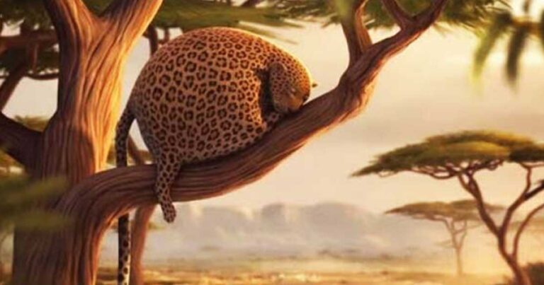 Πως θα έμοιαζαν τα ζώα εάν έτρωγαν… fast food; (βίντεο)