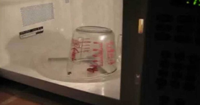 Τι θα γίνει όταν βάλεις μια ρώγα σταφυλιού κάτω από ένα πυρέξ μέσα στο φούρνο μικροκυμάτων; (βίντεο)