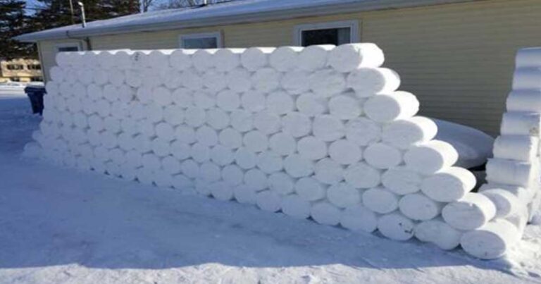 Έφυγε για λίγες μέρες και μόλις γύρισε στο σπίτι του είδε αυτό!