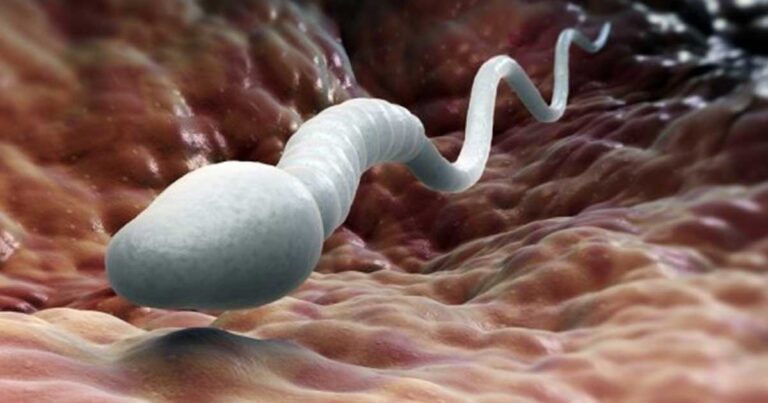 Αυτά είναι τα 10 πράγματα που σκοτώνουν το σπέρμα!