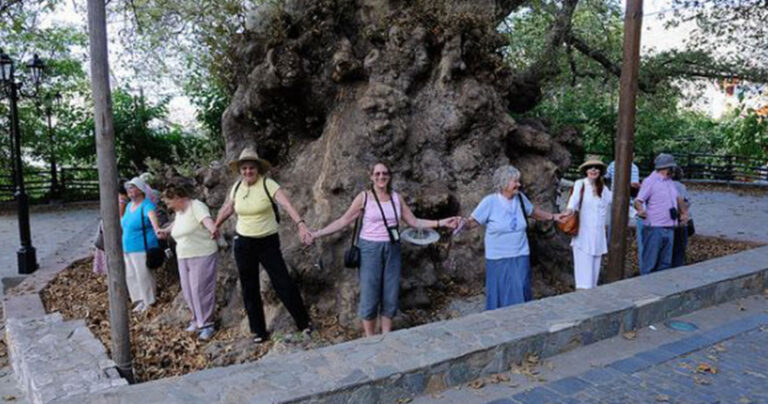 Ο πιο μεγάλος πλάτανος του κόσμο έχει ηλικία 2.400 χρόνων και βρίσκεται στην Ελλάδα!