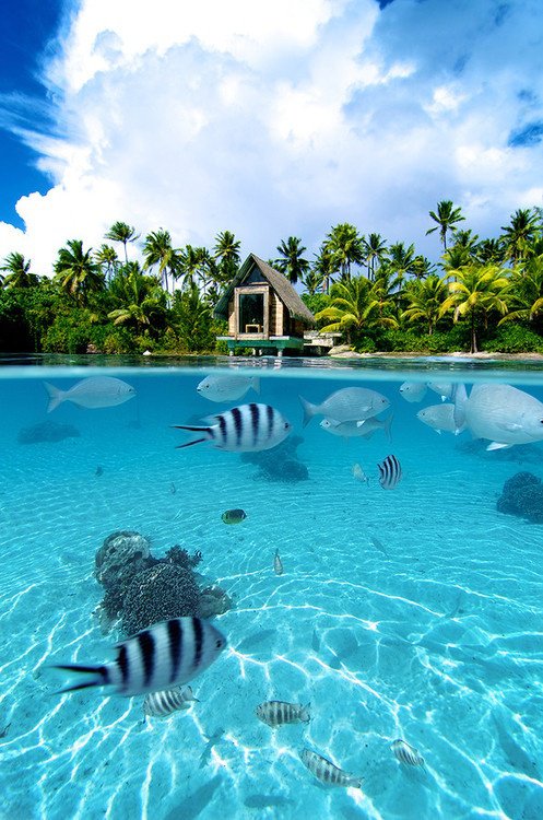 tilestwra.gr - Bora Bora Island 10 Μπόρα Μπόρα:50 παραμυθένιες εικόνες που θα σας δροσίσουν θα σας μεταφέρουν στον επίγειο παράδεισο!