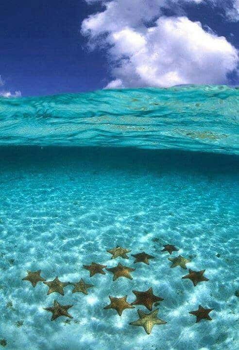 tilestwra.gr - Bora Bora Island 11 Μπόρα Μπόρα:50 παραμυθένιες εικόνες που θα σας δροσίσουν θα σας μεταφέρουν στον επίγειο παράδεισο!