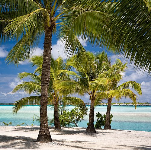 tilestwra.gr - Bora Bora Island 23 Μπόρα Μπόρα:50 παραμυθένιες εικόνες που θα σας δροσίσουν θα σας μεταφέρουν στον επίγειο παράδεισο!