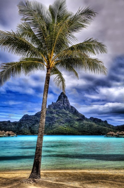 tilestwra.gr - Bora Bora Island 27 Μπόρα Μπόρα:50 παραμυθένιες εικόνες που θα σας δροσίσουν θα σας μεταφέρουν στον επίγειο παράδεισο!
