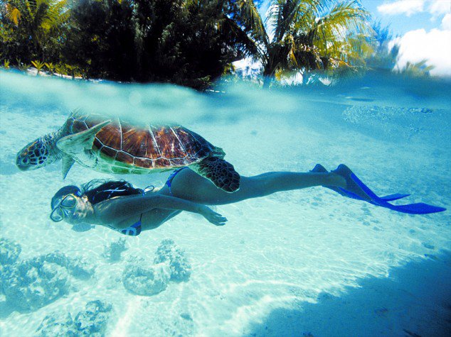tilestwra.gr - Bora Bora Island 32 634x475 Μπόρα Μπόρα:50 παραμυθένιες εικόνες που θα σας δροσίσουν θα σας μεταφέρουν στον επίγειο παράδεισο!