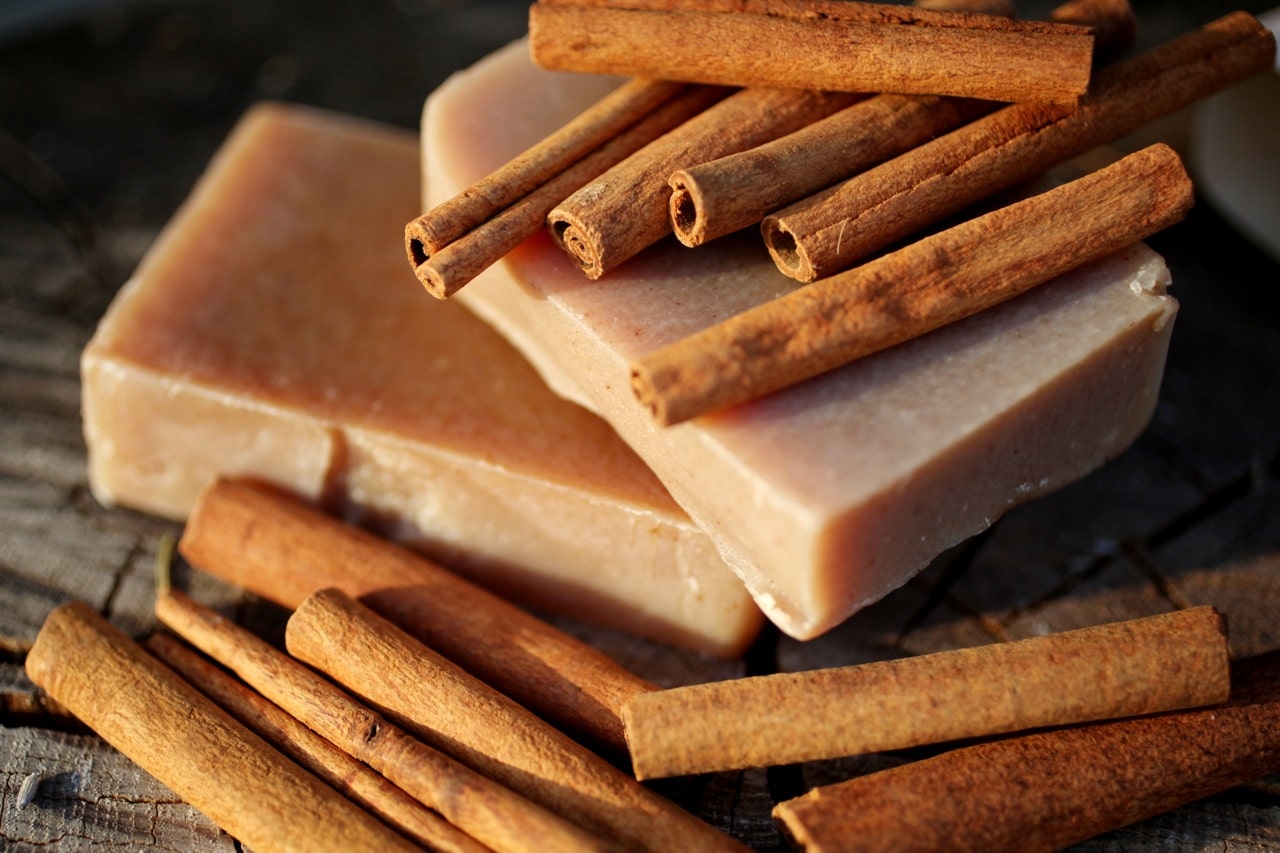 cinnamon soap