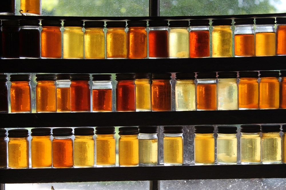 color_variations_of_honey