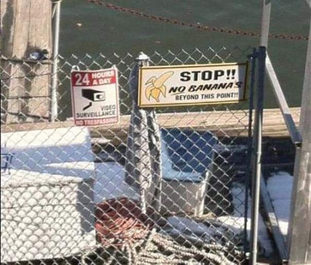 17 φωτογραφίες που δεν περιγράφονται με λόγια... (4)