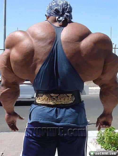 huge-body-builders-freaks-7