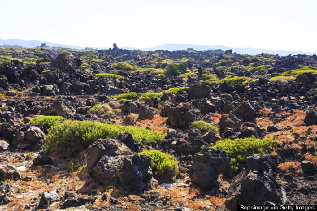 o-PANTELLERIA-570