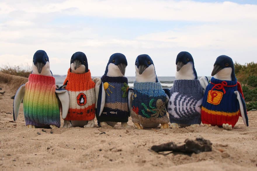 oldest-man-australia-knits-penguin-sweaters-1