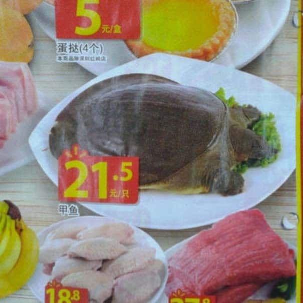 Πράγματα που θα δεις μόνο σε ένα Κινέζικο σούπερ μάρκετ (8)