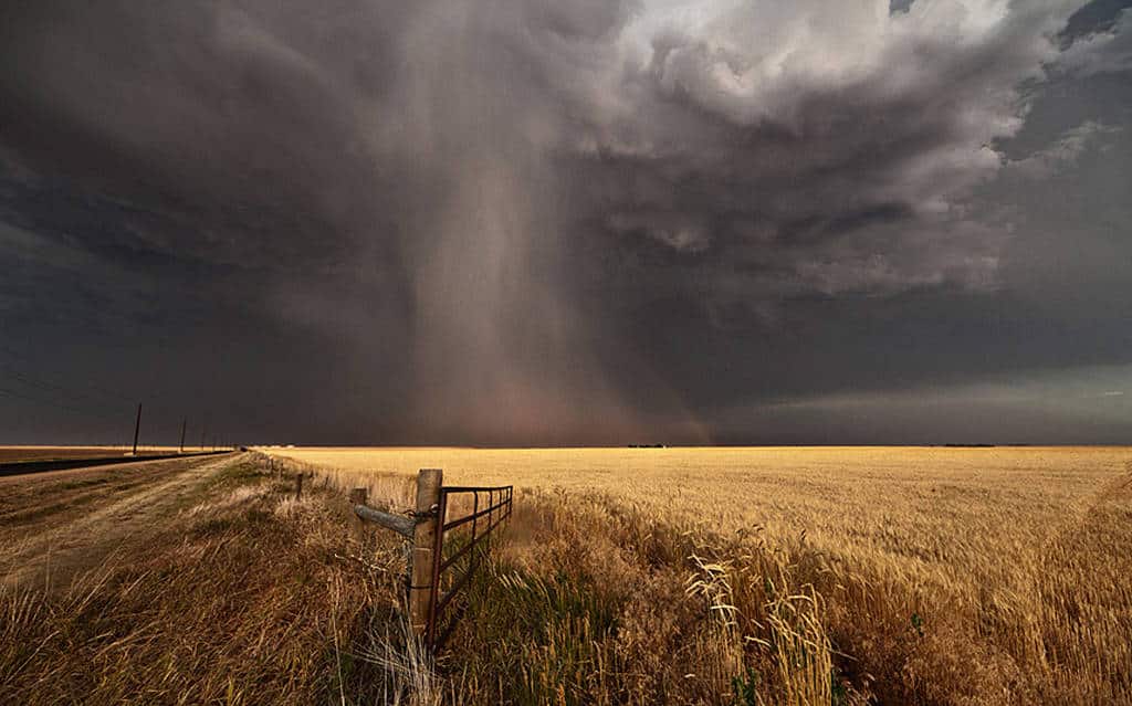 storm-chaser-harve_3170624k