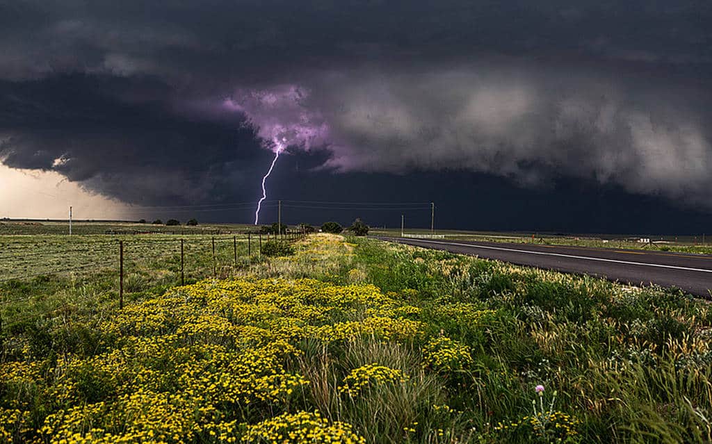 storm-chaser-light_3170648k