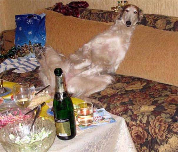 ta-kalytera-party-ever-20