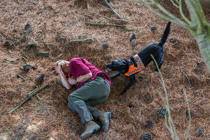 working dog photography shepherds realm andrew fladeboe 19