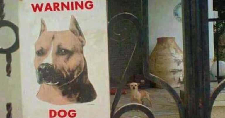 15 φωτογραφίες που σε βάζουν σε υποψίες…