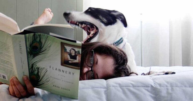 Tα 100 βιβλία που πρέπει να διαβάσει κάποιος πριν πεθάνει! Ανάμεσα τους και ένα ελληνικό!