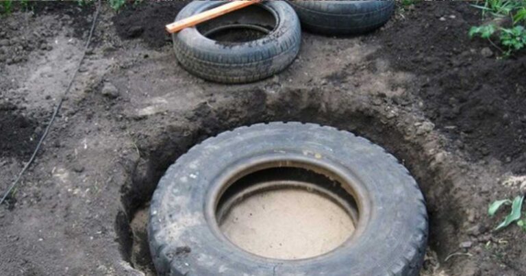 Τοποθέτησε παλιά λάστιχα στην αυλή του. Δείτε τι πραγματικά όμορφο έφτιαξε!