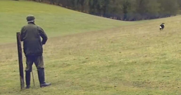 Έστειλε το σκύλο του να πάει στο λόφο. Το τι έφερε πίσω θα σας κάνει να γελάσετε!