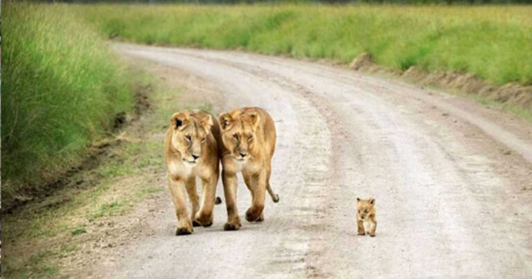 15 ξεχωριστές φωτογραφίες τραβηγμένες ακριβώς την κατάλληλη στιγμή!