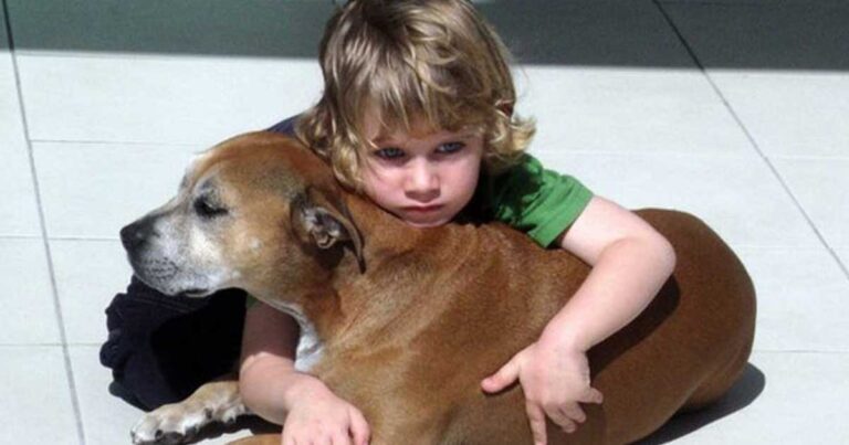 Είπαν σε ένα μικρό παιδάκι ότι ο σκύλος του θα πεθάνει. Διαβάστε την απάντηση που τους έδωσε.