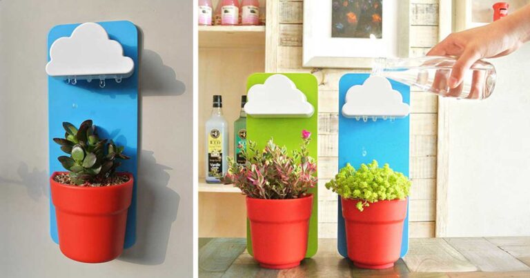 Τώρα τα φυτά σας μπορούν να έχουν το δικό τους σύννεφο – ποτιστήρι!