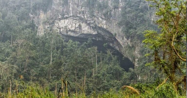 Ένας άντρας παρατήρησε σε ένα βράχο μια τρύπα. Αυτό που βρήκε στο εσωτερικό της κατέπληξε την ανθρωπότητα.