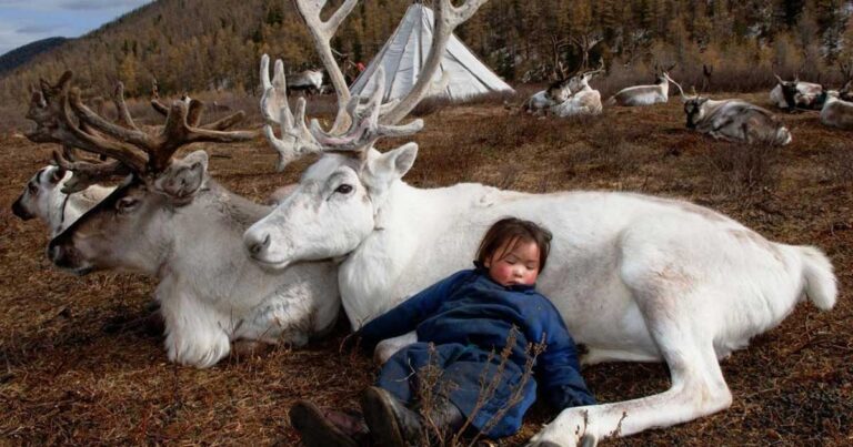 Φωτογράφος αιχμαλωτίζει την ομορφιά μιας από τις πιο σπάνιες φυλές της Μογγολίας