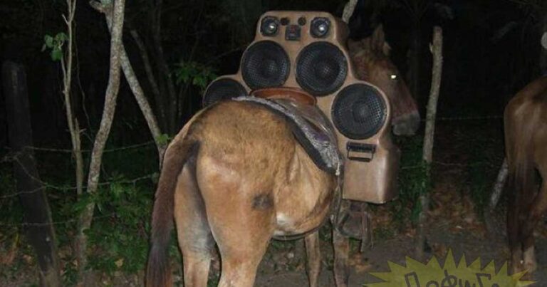 21 φωτογραφίες που αποδεικνύουν πόσο τρελός είναι ο κόσμος που ζούμε!