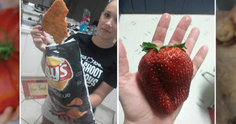 21 φωτογραφίες από φαγητά με τρομακτικά τεράστιο μέγεθος!