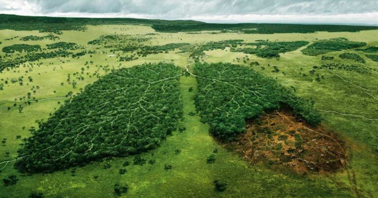 35 πραγματικά ξεχωριστές διαφημίσεις που πρέπει να δείτε.